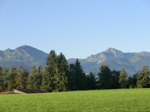 Aussicht der Ferienwohnungen