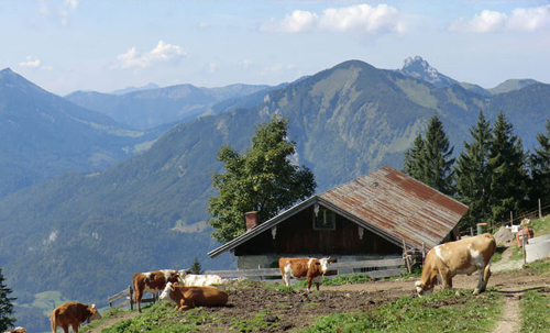 Freizeit