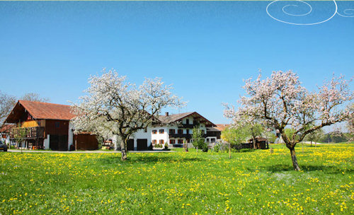 Bamberger Hof