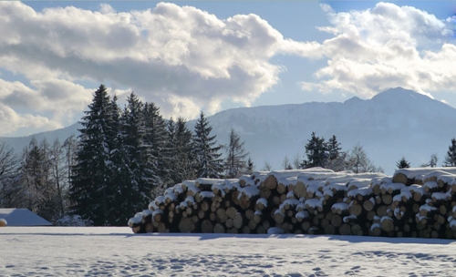 Winterimpressionen