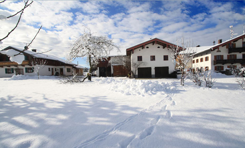 Winterimpressionen